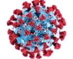 Logo of Coronavirus Map android Application 